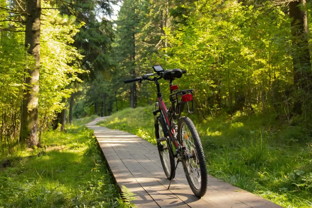 Bicicletta da montagna appoggiata su una passerella di legno che attraversa un sentiero immerso in un bosco verde. Gli alberi circostanti sono illuminati dalla luce naturale, creando un’atmosfera tranquilla.